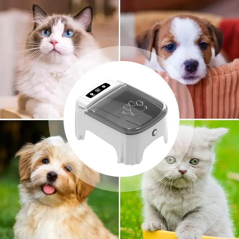 Automatic lid opening Feeder Pet Smart Cat Food Dispenser Timed Pet Food Utensils Electric Dry Feeding Pet Bowl For Small Dog