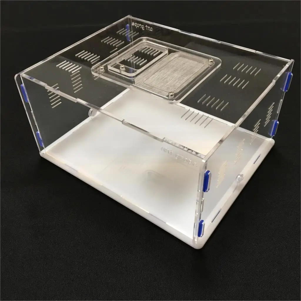 Ant Farm Acryl,Inse… - image