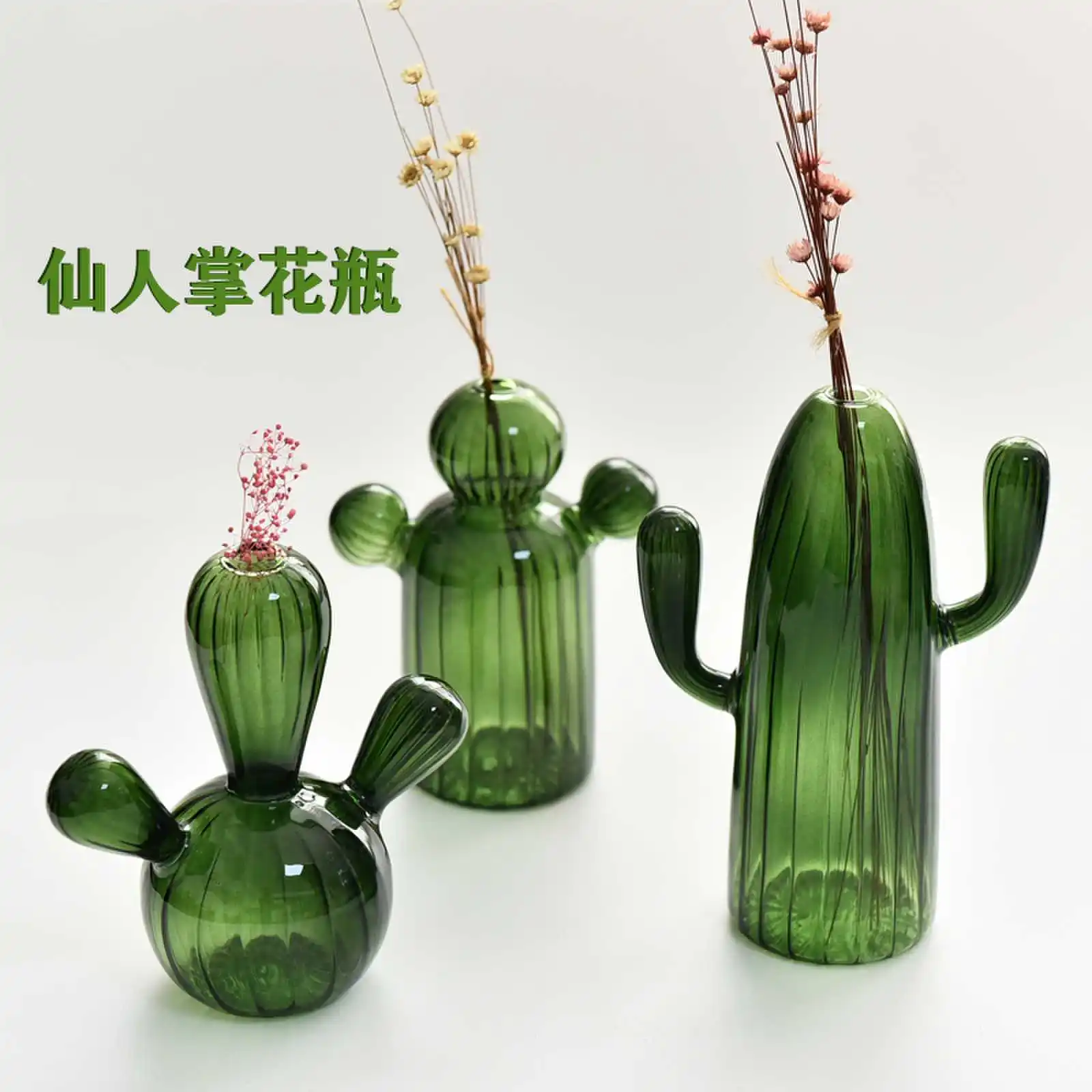 

Colorful Glass Vase Creative Ins Desktop Ornaments Cactus Vase Personalized Hydroponic Flower Bottle Aromatherapy Bottle Ornamen