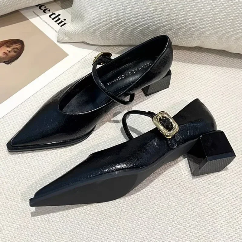 

2025 Spring Style Pointed Toe Versatile Style Single Shoes Square Heel Women's Shoes Medium Professional Dress French High Heels