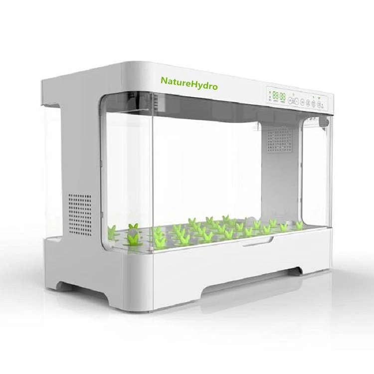 

Indoor Smart Mini Garden Desktop Grow Box Hydroponic System With Lights For Vegetable