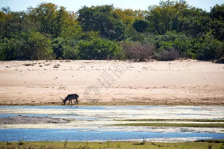 

For ARRMA 1/8 Kraton Outcast 1/7 Mojave EXB 50T Carbon Steel Center Diff Gear W249 W248 | Heavy Duty