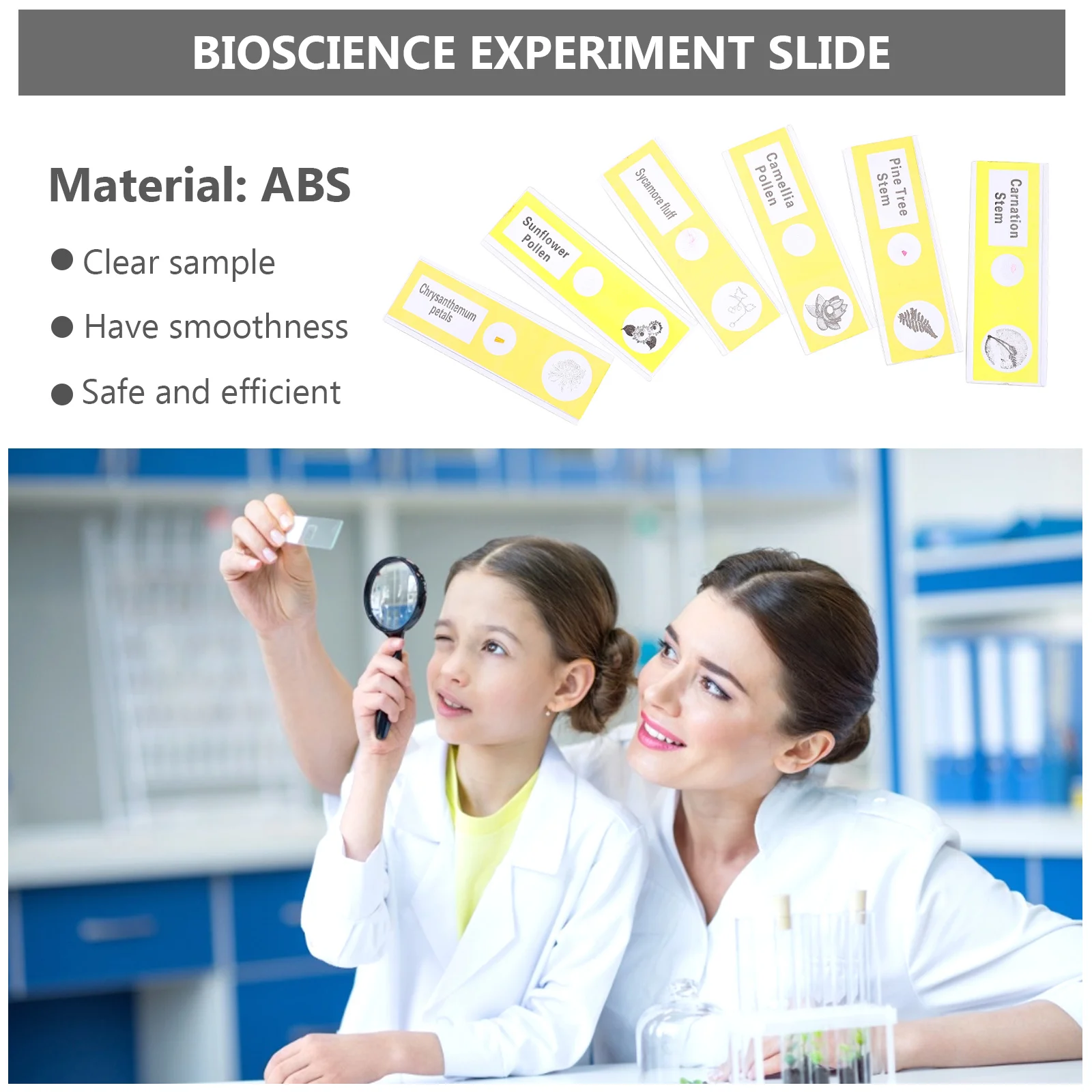 12Pcs Prepared Microscope Slides Plant Specimens Clear Plastic Safe for Kids Entry Level Biological Sample Exploration