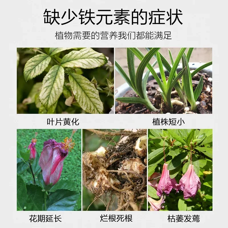 Ferrous sulfate flower fertilizer soil improvement acid rose rose camellia green laurel orchid yellow leaf fertilizer