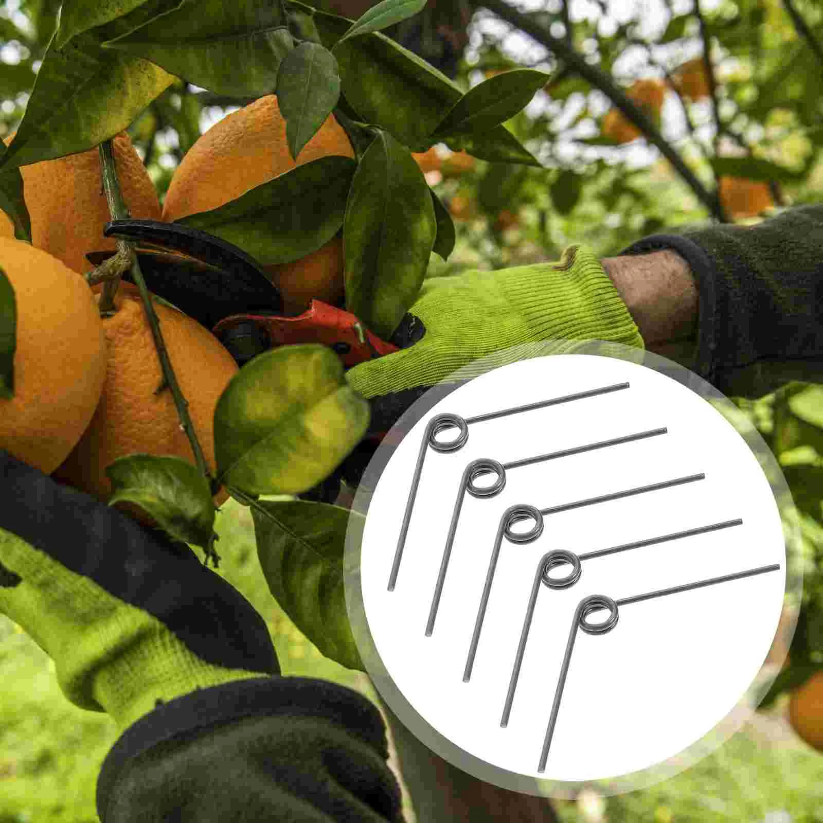 Tijeras para recoger frutas, resortes de jardín de primavera, máquina cortadora de plantas, podadora de acero inoxidable de repuesto, 5 uds.