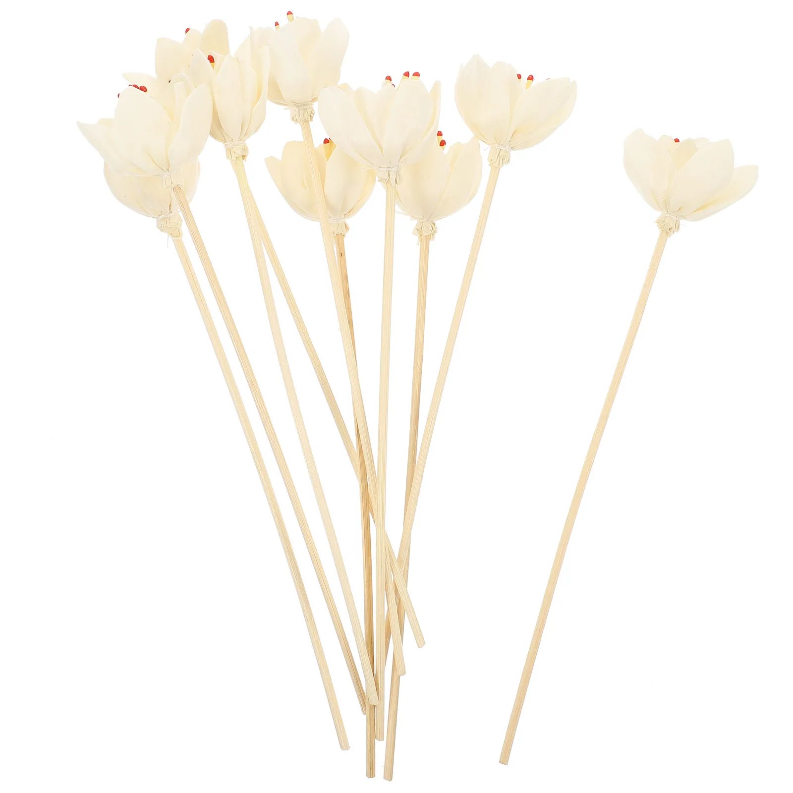 

10pcs Essential Oil Diffuser Sticks Aromatherapy Flower Accessories Replaceable Reeds Home Decor Dried Flowers Room Fragrance