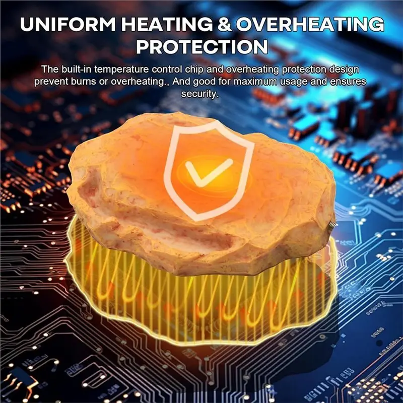 تعديل درجة الحرارة لصخور حرارة الزواحف التنين الملتحي مع حوض تغذية صخرة الحرارة بقابس الولايات المتحدة