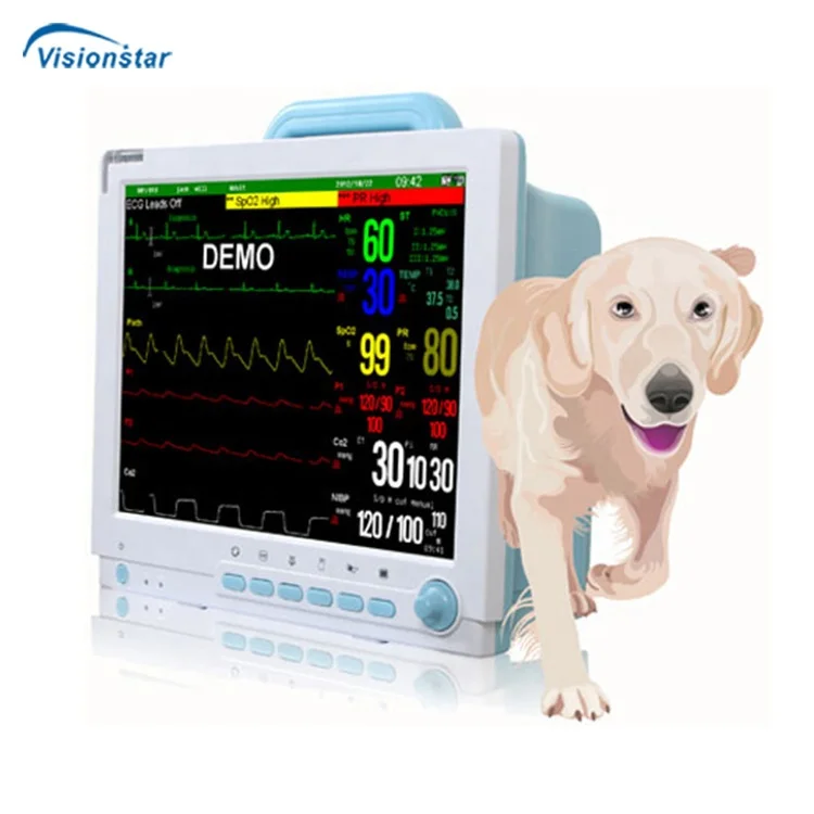 Animal Hospitals Equipment 15 Inch 5 ParametersVeterinary Monitors for Sale