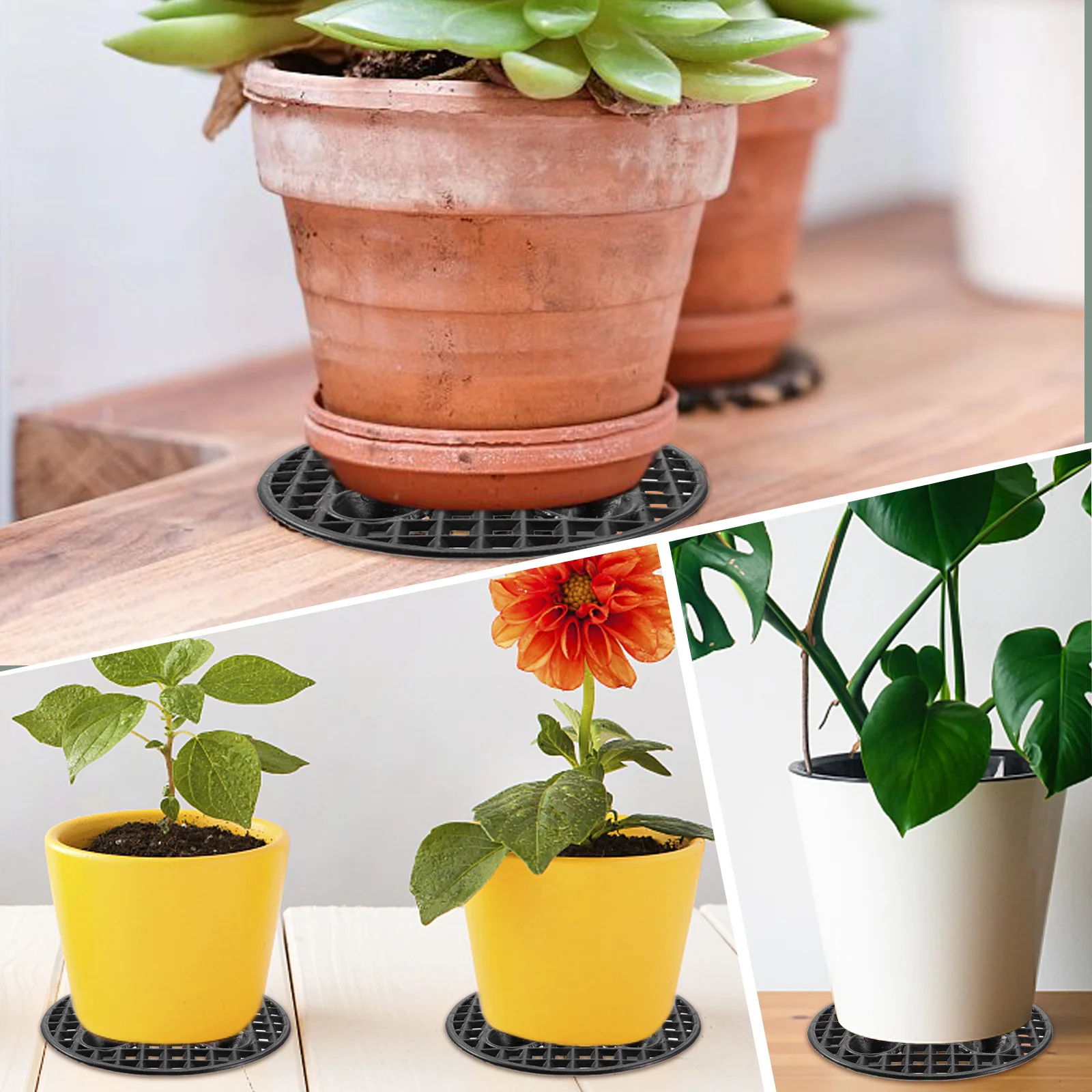 

Root Control Chassis Grow Container Controller Bonsai Transplant Tool Nursery Pots Plastic Material Effective