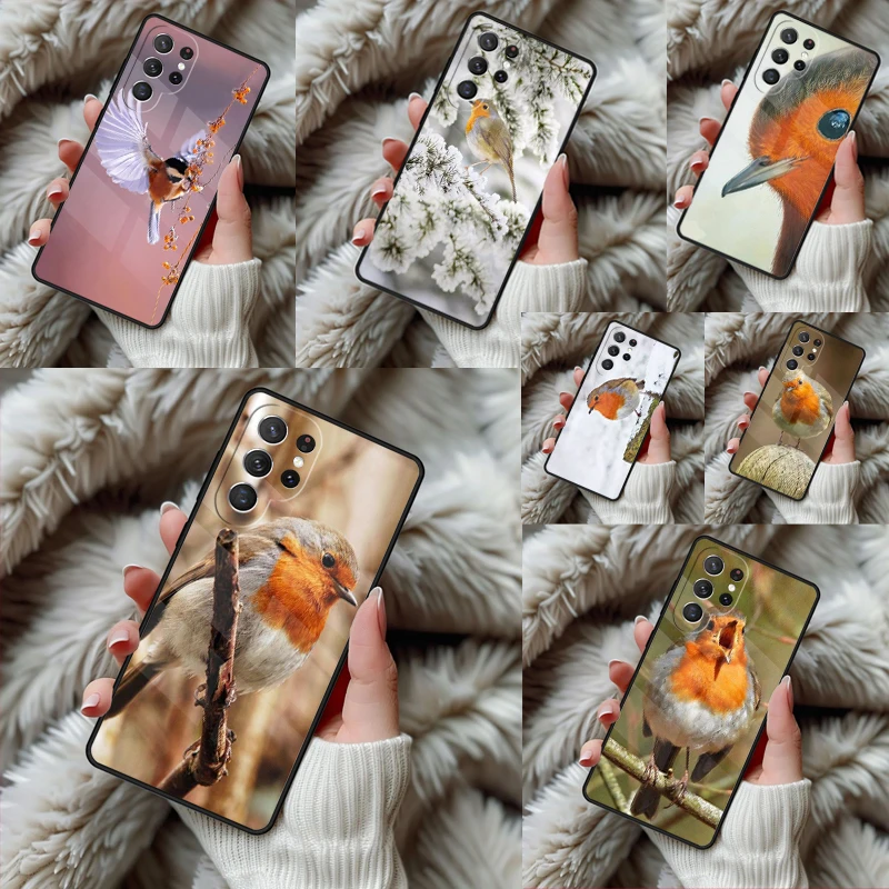 Garden Birds Robin Phone Case For Samsung Galaxy S24 S25 S26 Ultra S22 S23 Plus S21 S20 FE Note10 TPU Cover
