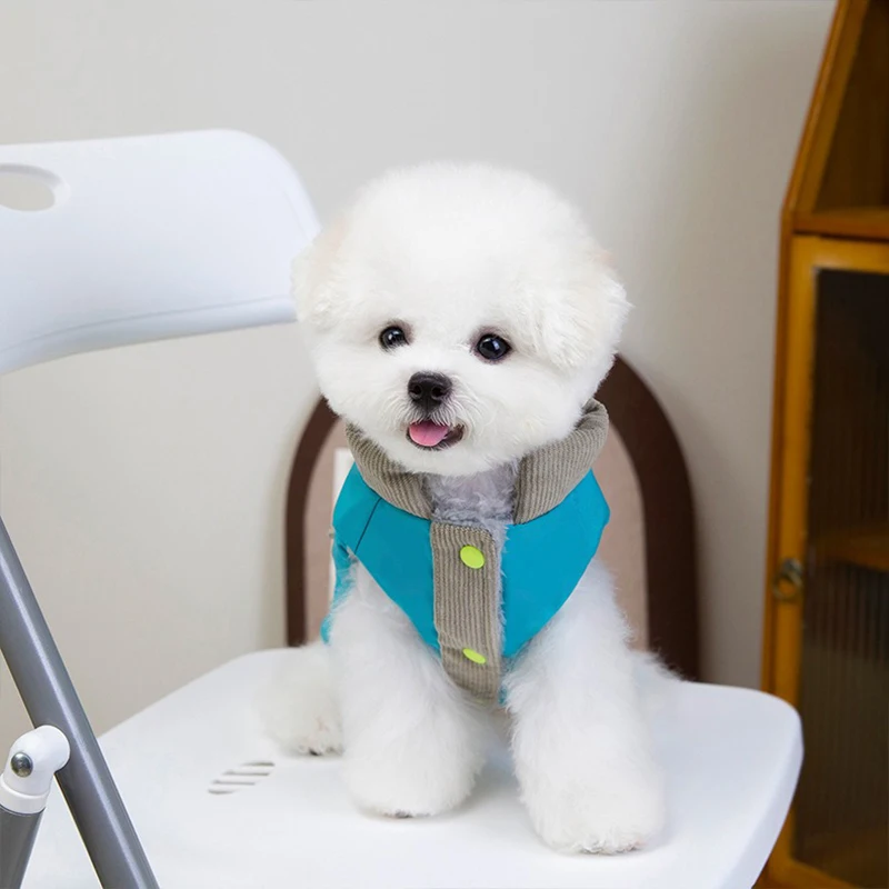 

Водонепроницаемый пуховик Тедди, зимняя одежда для собак, теплая мальтийская двуногая куртка, утепленное хлопковое пальто для домашних животных, S-2XL