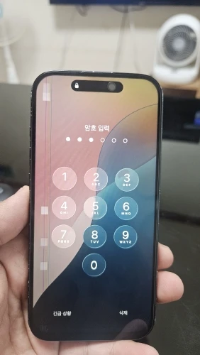 실물 포토 리뷰