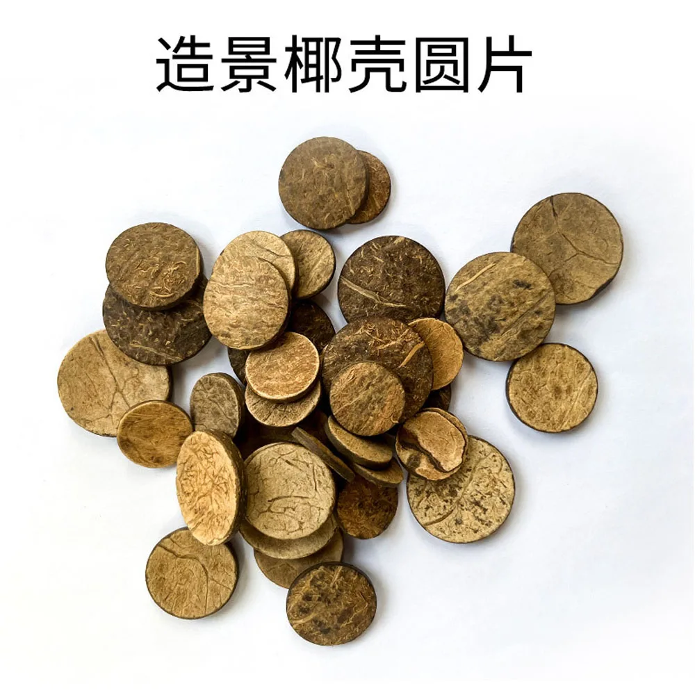50 قطعة خزان حوض السمك المواد الخام أقراص قشرة جوز الهند نموذج لوازم نماذج رقاقة جوز الهند المستديرة