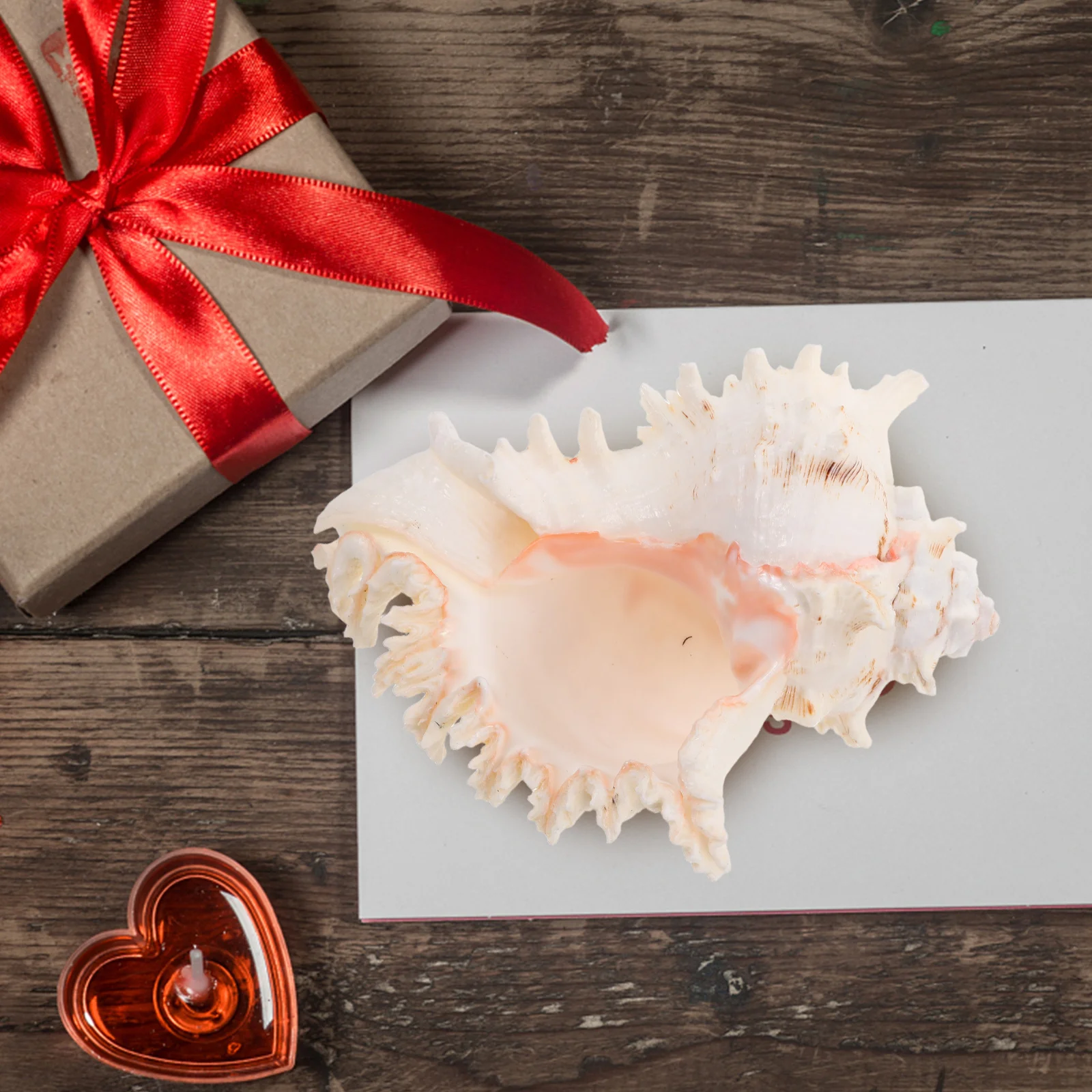 

Natural Conch Shell Large Seashell Coastal Vase Filler Wedding Beach Decor Ocean Themed Party Decorations Sea Shells Large