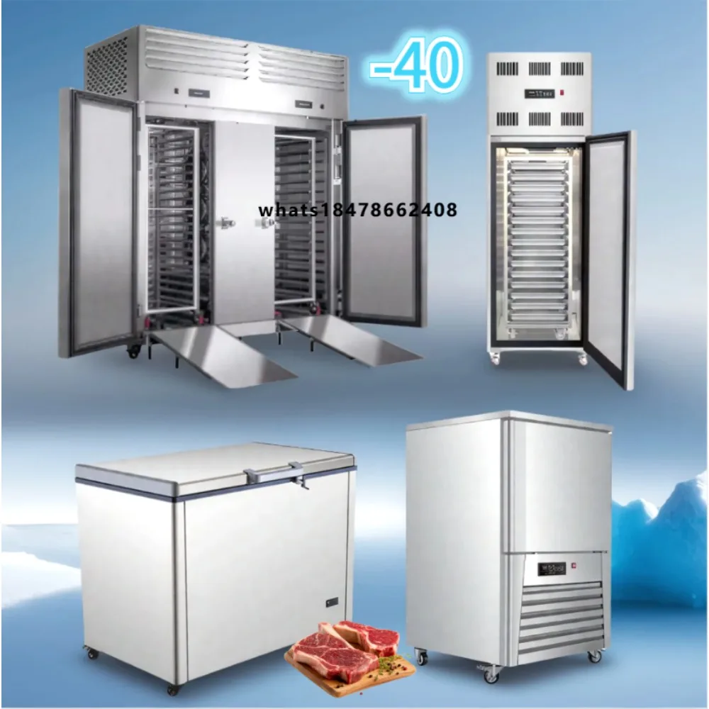 Supplier -40 Commercial Upright Cryogenic Small Size Seafood Tunnel Horizontal Quick Blast Freezer in Bangladesh Price