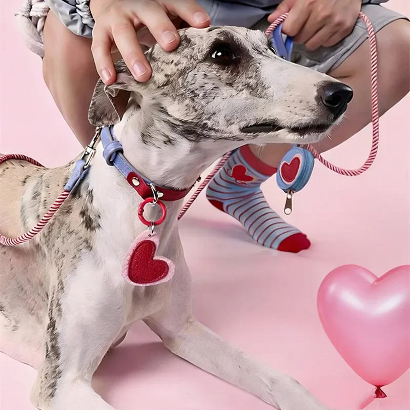 Collares para Mascotas con Forma de Corazón, Conjunto de Collar y Correa para Perros Pequeños y Medianos, Schnauzer, Poodle, Dachshund, Accesorios para Cachorros, Correa para Perro