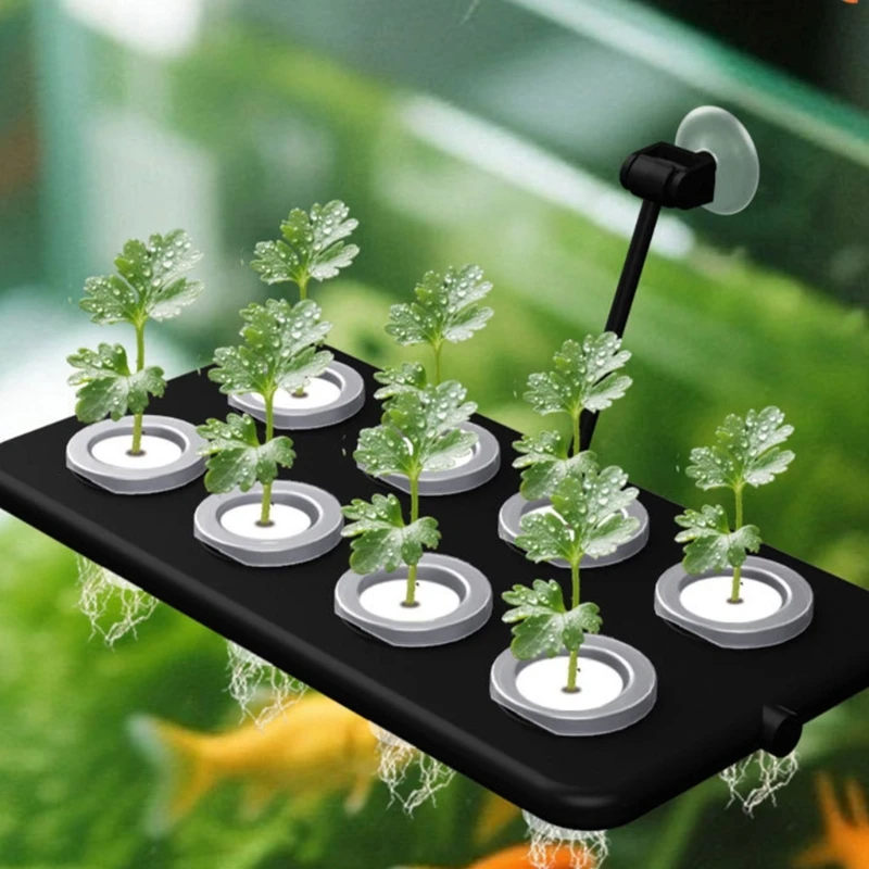 Hydroponic Planting Basket System, Modified Plastic 8-Opening Connectable Panel with Flexible Mounting Arrangements best sale