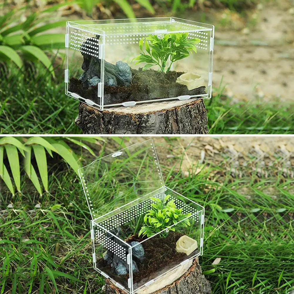 Multiple Vents Reptile Breeding Box Acrylic Transparent Reptile Tank Insect Spiders Scorpions Mantis Feeding Box Terrarium Tank