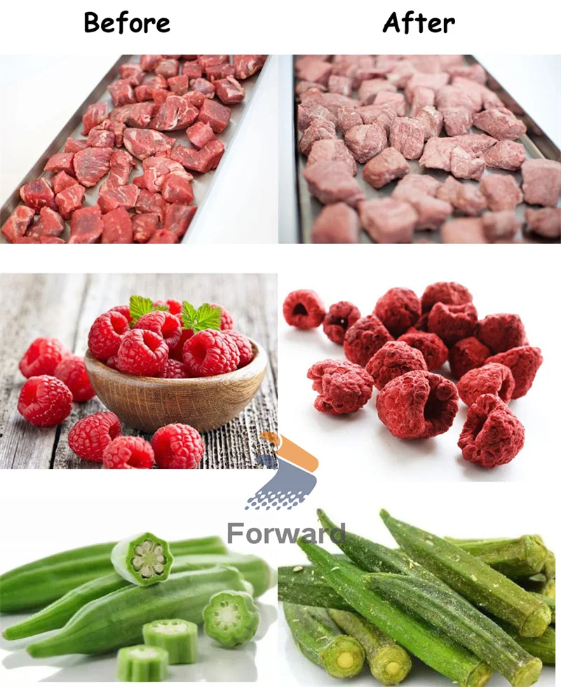 -55 degree Low Temperature Vacuum Freeze Dryer Machine Vegetables Fruit Vacuum Freeze Dryer Mini Lyophilizer Food Freeze Drying