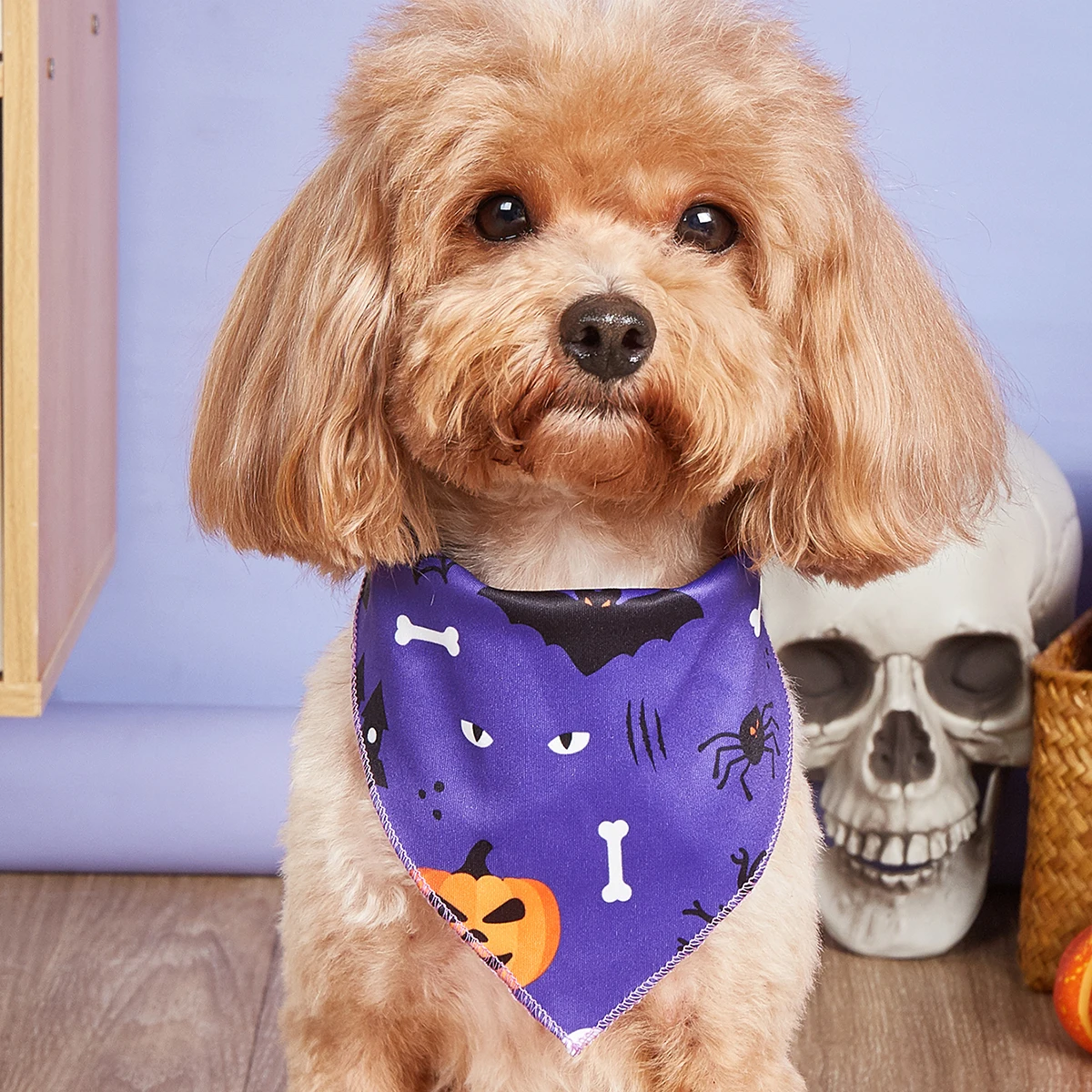 Thumbnail 2 - #39 Best Dog Bandanas to Buy In 2026