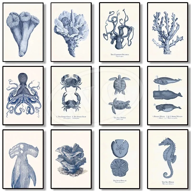 Sketch Fossil Fish Turtle Snail Star Tree Vintage Wall Art Mural Canvas Painting Nordic Posters Wall Pictures Kawaii Home Deco
