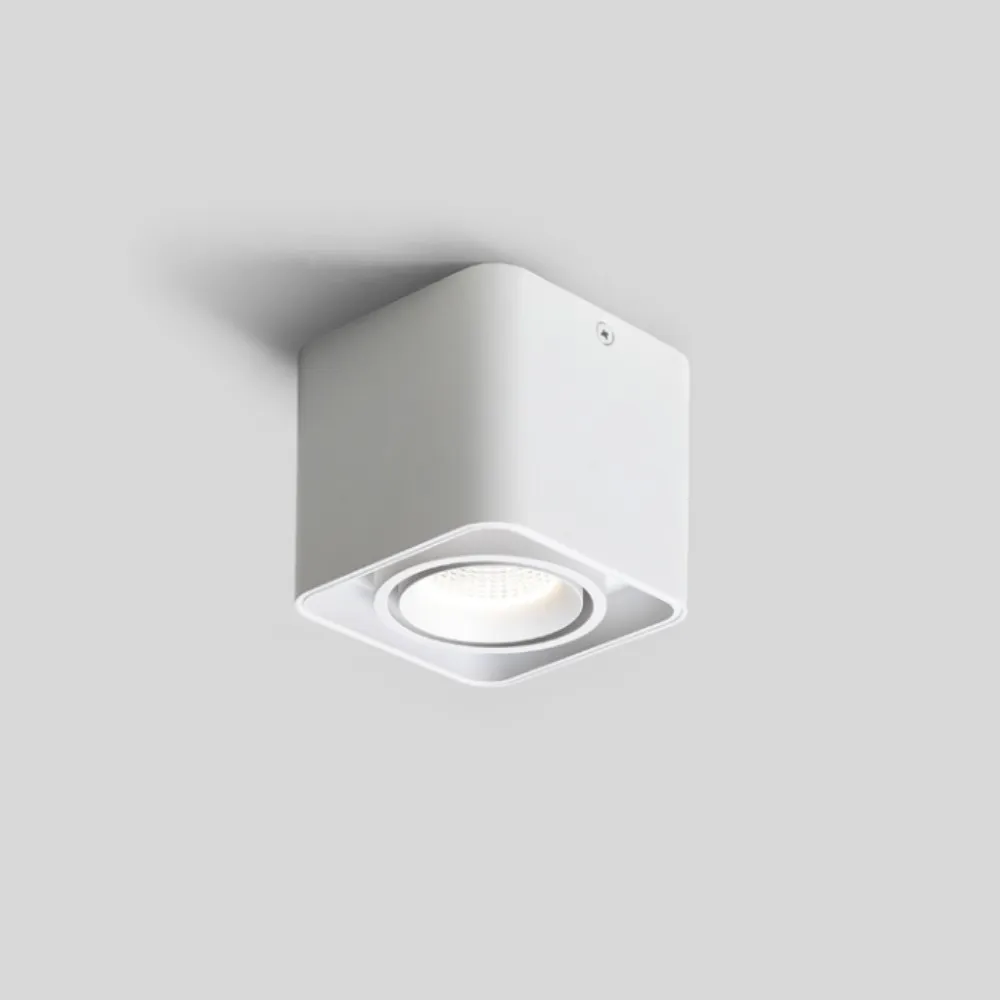 Imagem -04 - Quadrado Dimmable Led Wall Mounted Downlight Cob Spot Light Lâmpada do Teto de Cabeça Única e Dupla Montagem em Superfície Baixa Potência 10w 12w 20w 24w