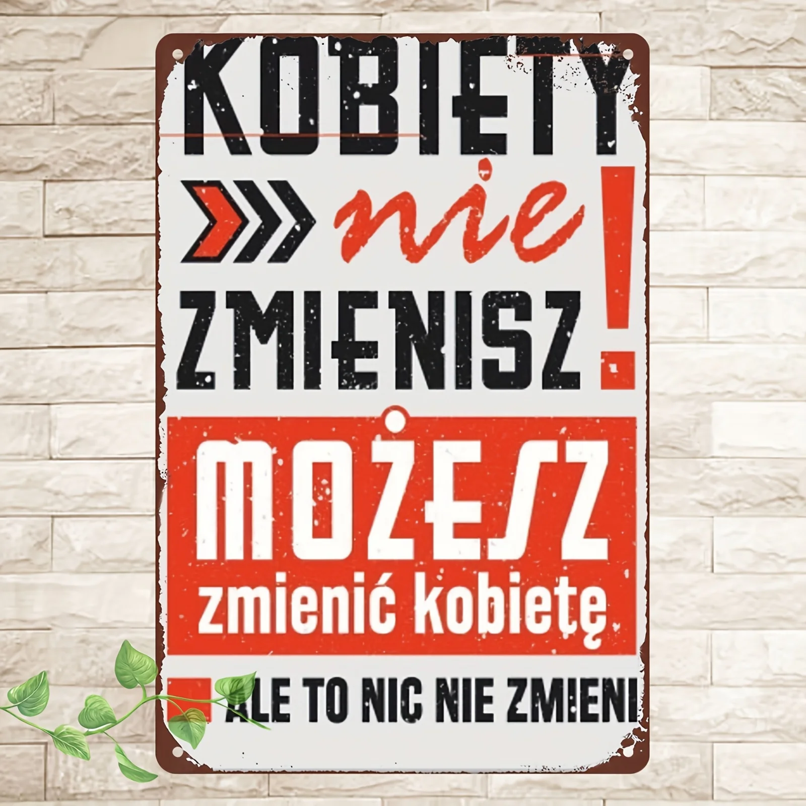 2D Flat, 1pc Polish Humor Metal Sign Polish-Language Funny Phrases & Polish Zycie Aluminum Wall Art for Home, Bar, Pub, Cafe