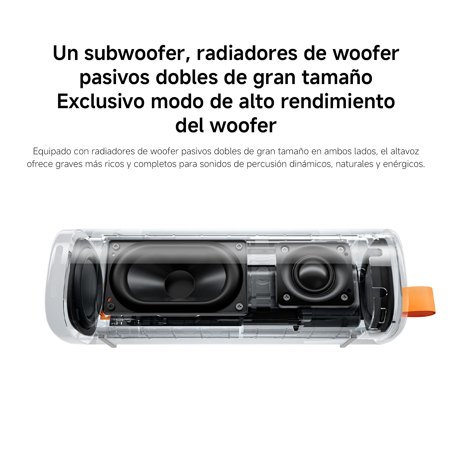 Imagen 5