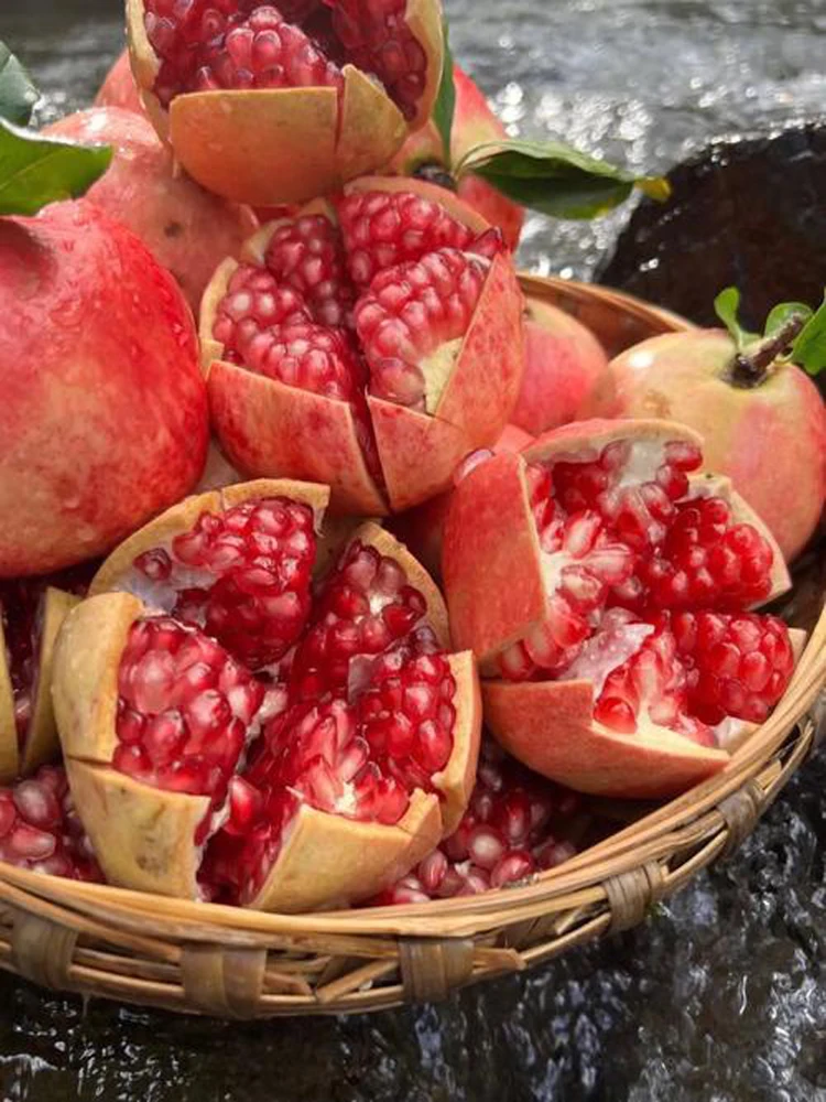 

750 Вт вихревая машина для смешивания мороженого, смеситель для мороженого с замороженным йогуртом, вихревой блендер для настоящего фруктового мороженого