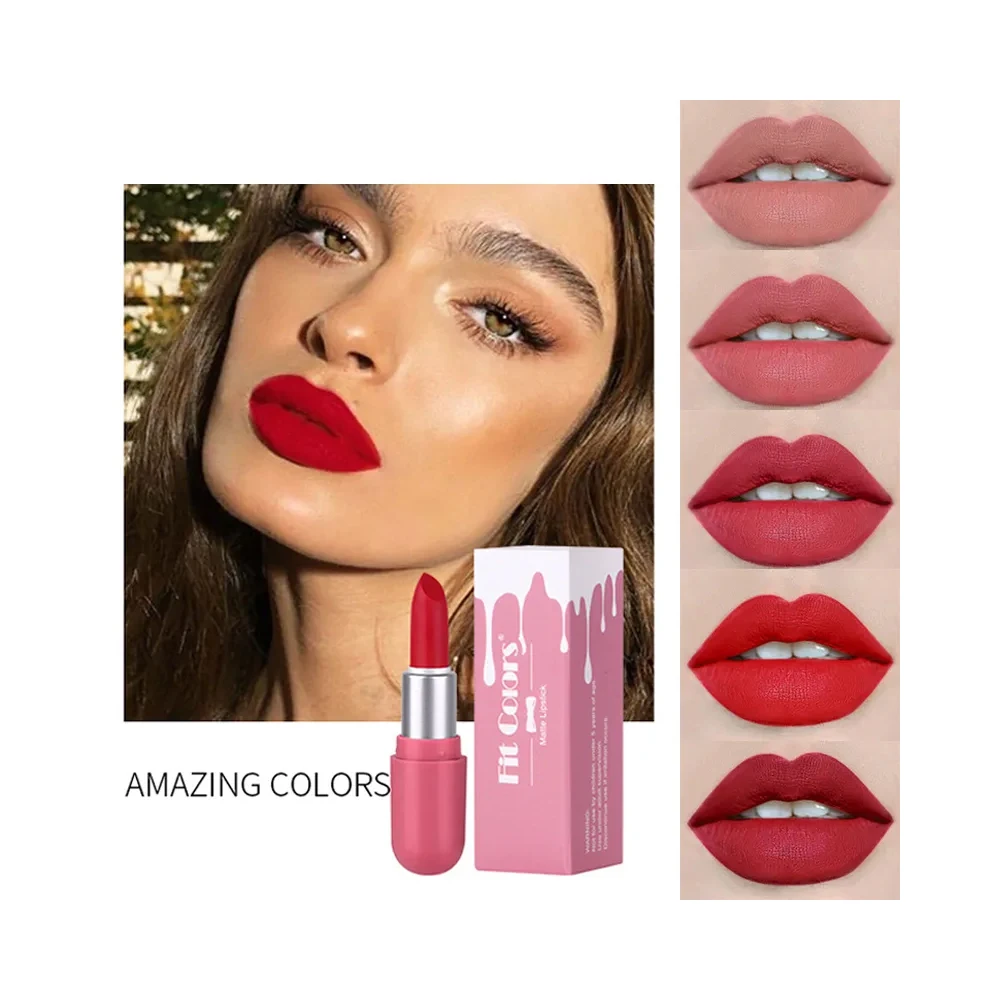 Mini barras de labios de terciopelo mate, lápiz labial de larga duración, resistente al agua, sin decoloración, taza antiadherente, maquillaje cosmético, 5 colores