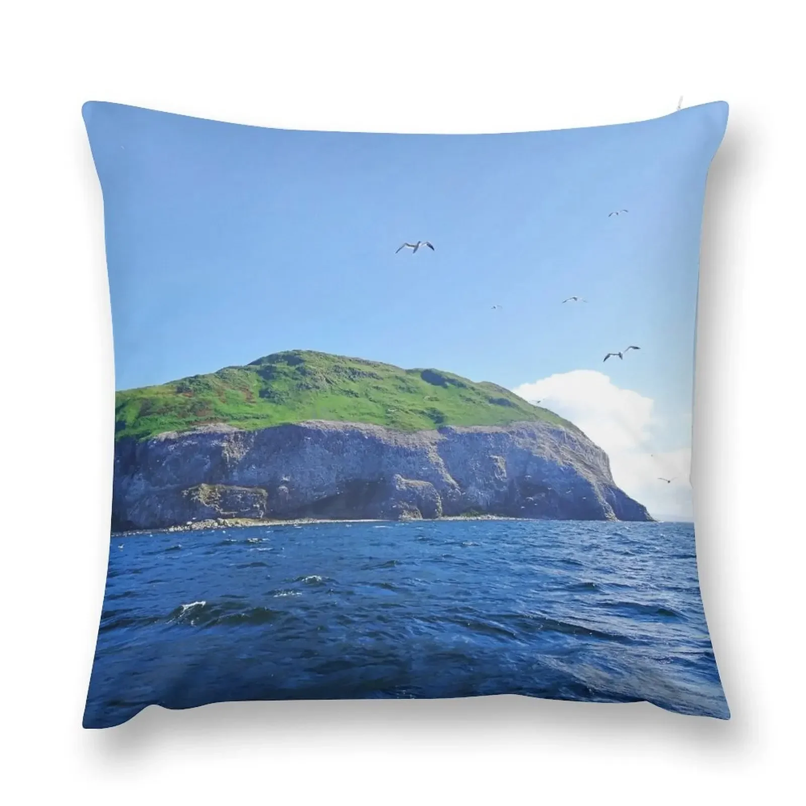 Ailsa Craig West Coast. Firth of Clyde, Scotland. Throw Pillow Throw Pillow Covers Decorative Cushion Cover pillow