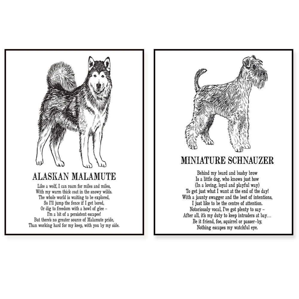 Carteles de animales de Shih Tzu, Schnauzer miniatura, Malinois belga, Border Collie, Wolfhound, Malamute de Alaska, Gordon Setter