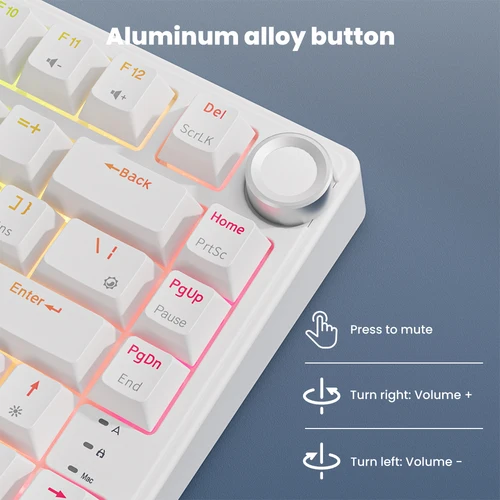 Imagen 2 del producto Teclado mecánico en inglés RK Royal Kludge R75, estructura de junta intercambiable en caliente de 81 teclas, teclado para juegos por cable RGB con teclas PBT