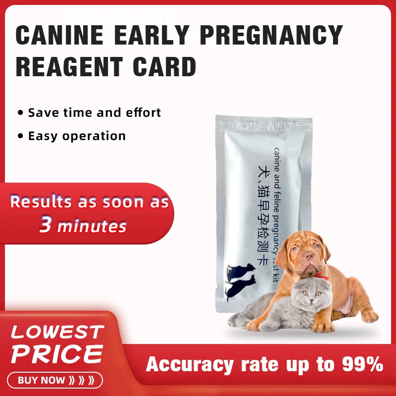 

3 Pcs PET Pregnancy Test Strip Dog Cat Pregnancy Test Card Canine Feline Pregnancy Tester Kit Pets Supplies Veterinary Supplies