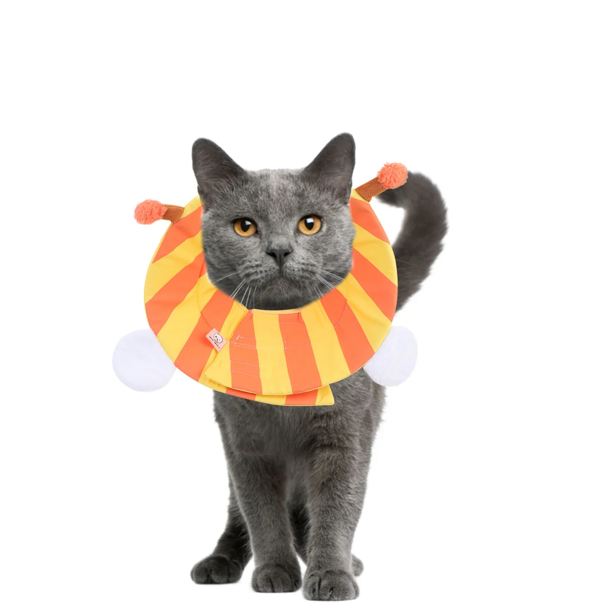 

Anti-Bite Collar For Dogs Pet Recovery Cone Lightweight Washable Elizabethan Neck Ring For Puppy Healing Wound Care Dog