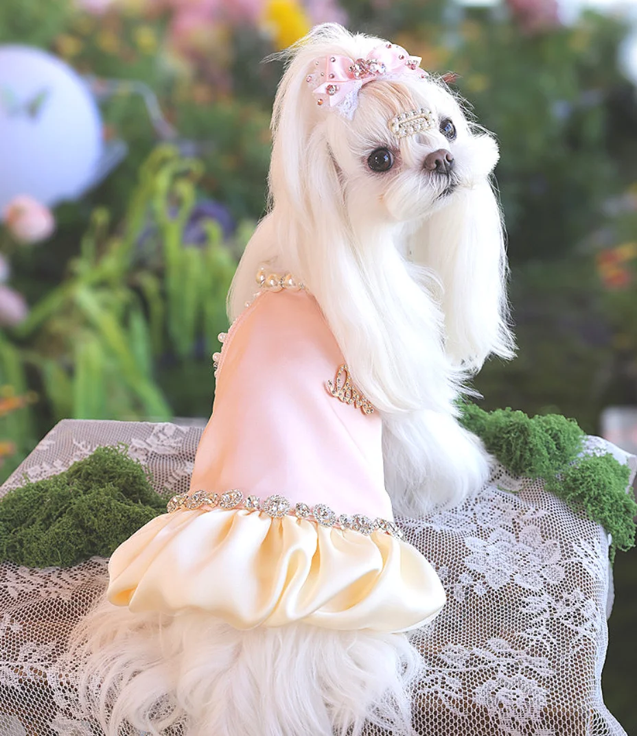 

High-End Designed Silk Material Comfortable Pet Clothing Pearl Collar Small Dog Luxury Dress Maltese Chihuahua