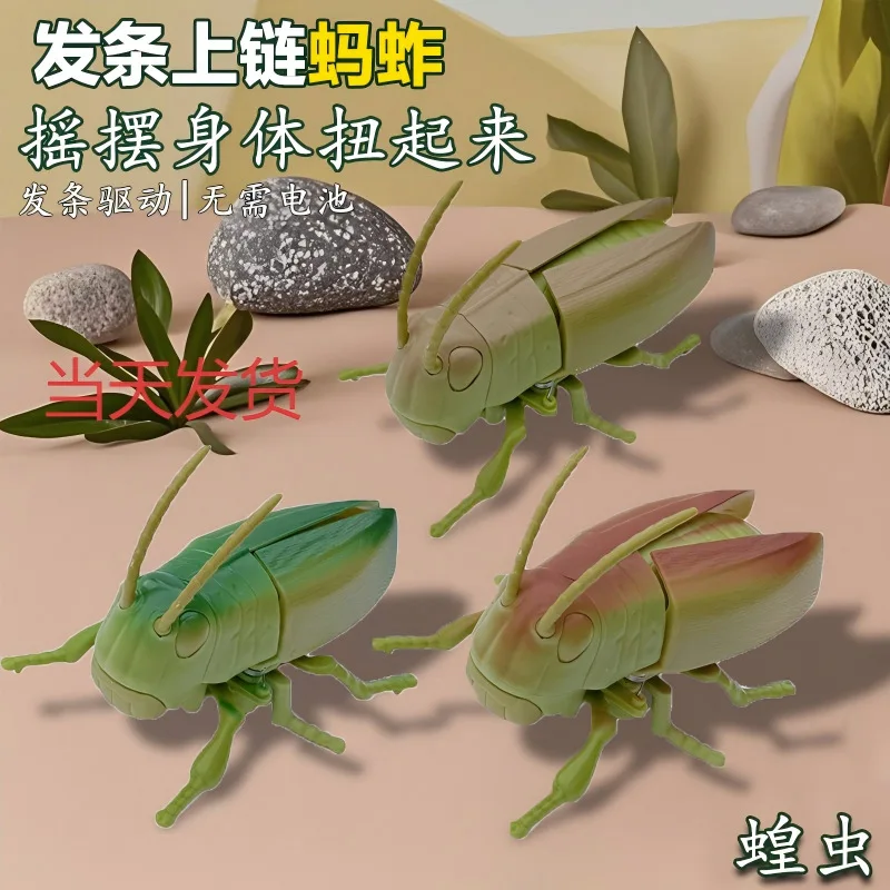 Wind Up Beetle Bionic Toys Creative Prankster Animated Insect Toy Model Grasshopper Children's Plastic Animals Wind Up Toy Gifts