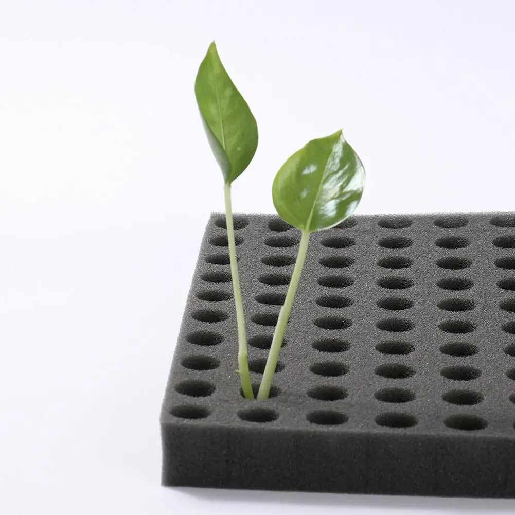 New Seedling Sponge Soilless Hydroponic Cloning Garden Seedlings Plant Square Growth Hydroponics Cube Foam Sponge Pots Trays