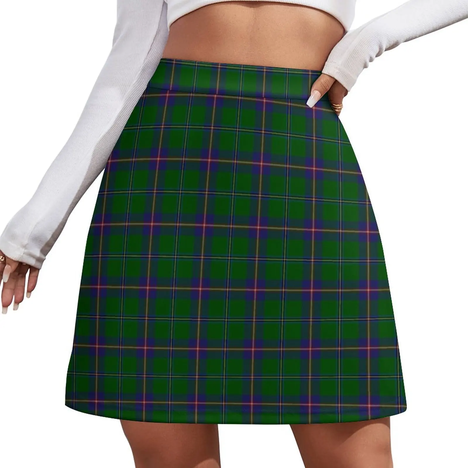 

Washington State Tartan Mini Skirt new in clothes fairy grunge Mini Skirt