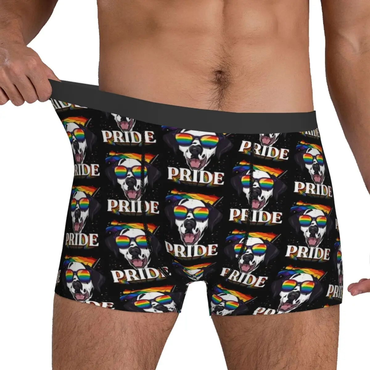 LGBT Dalmatian Gay Pride Underwear LGBTQ Rainbow Flag Men Panties Printed Elastic Boxer Shorts Trenky Boxer Brief Plus Size