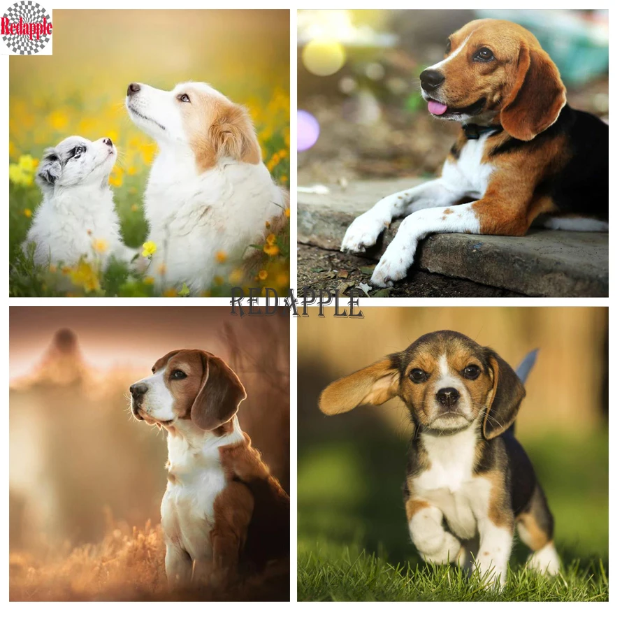 Diamond Mosaic Painting for Home Decor, Cute Dog Cross Stitch, DIY Hobby, Beagle Pattern, Full Drill Diamond Embroidery, Sale