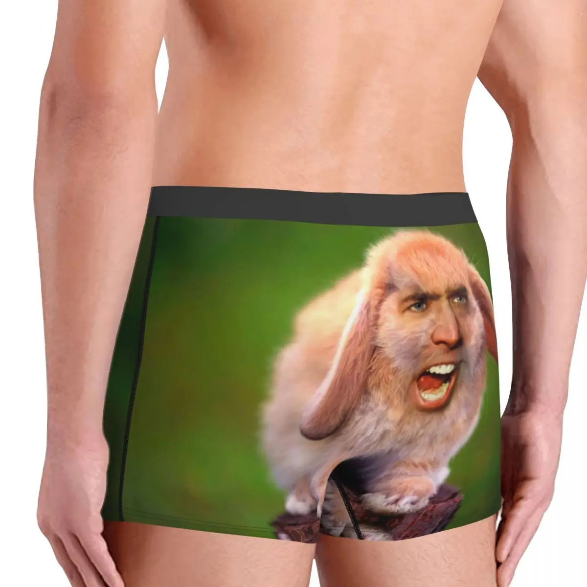 Male Fashion Funny Nicolas Cage Rabbit Meme Underwear Boxer Briefs Soft Shorts Panties Underpants