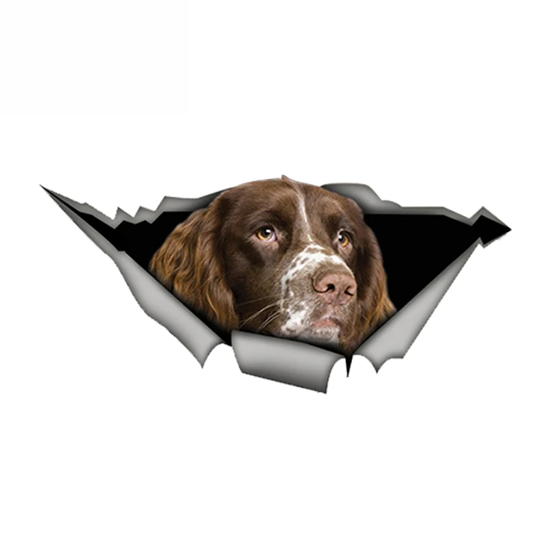 

Springer Spaniel Car Sticker Torn Metal Decal Reflective Stickers Waterproof 3D Car Styling Pet Dog Decals 13cm x 6cm