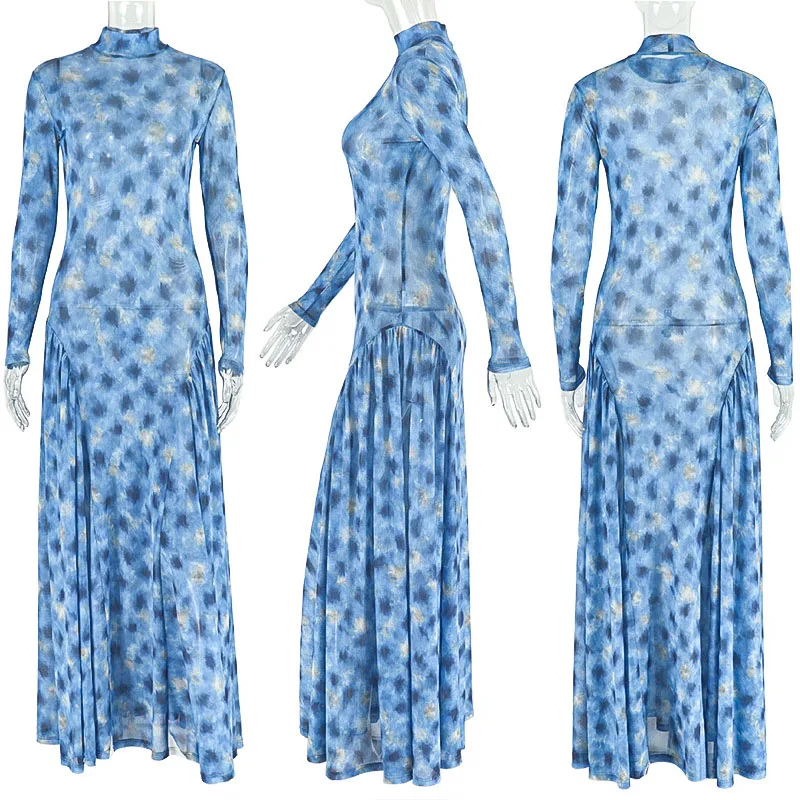 Doyerl Autumn Spring Long Sleeve Maxi Dress Women Club Party Night Elastic Sheer Mesh Printing A-line Long Dresses Vestidos