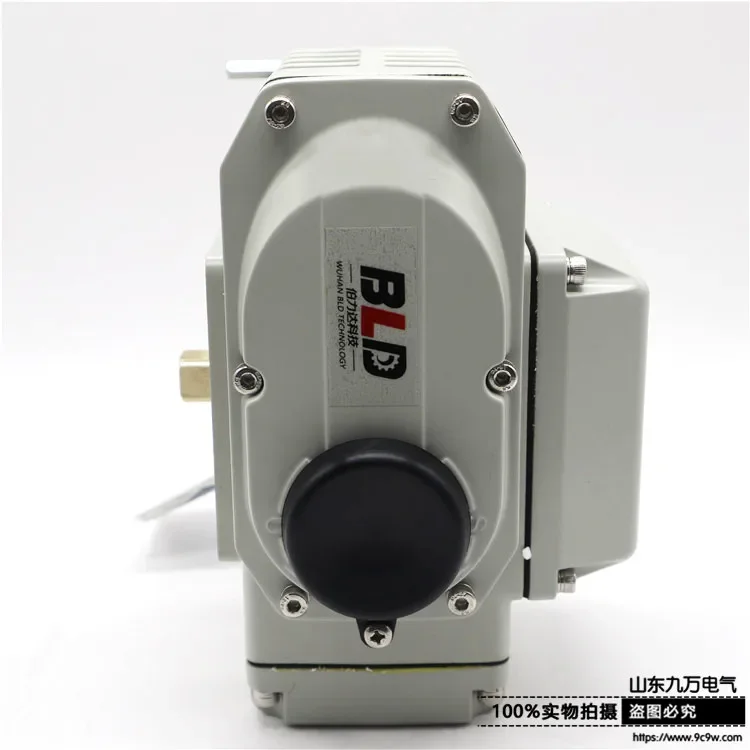 

BLD BLD-05C 50N electric actuator with imported potentiometer 1K 60S AC220V