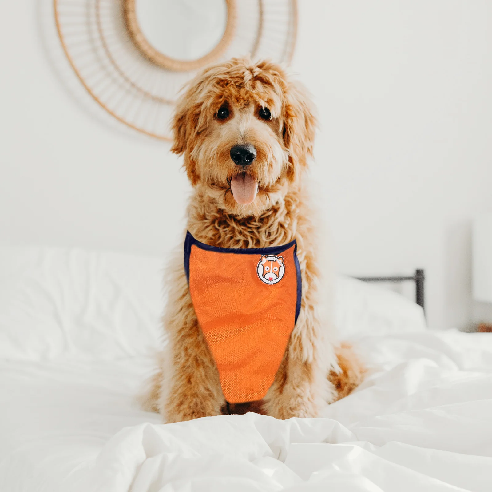 

Pet Waterproof Belly Cover Raincoat Adjustable Lightweight Orange Size S Puppy Dog Raincoat Breathable Cozy Waterproof Outdoor