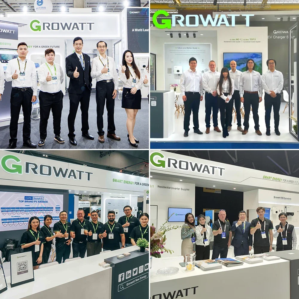 Growatt on Grid Tie Single 3 Phase Solar Power Inverter 50Kw 100Kw 150Kw Hybrid Pv Solar Inverter 230V 380V for Project