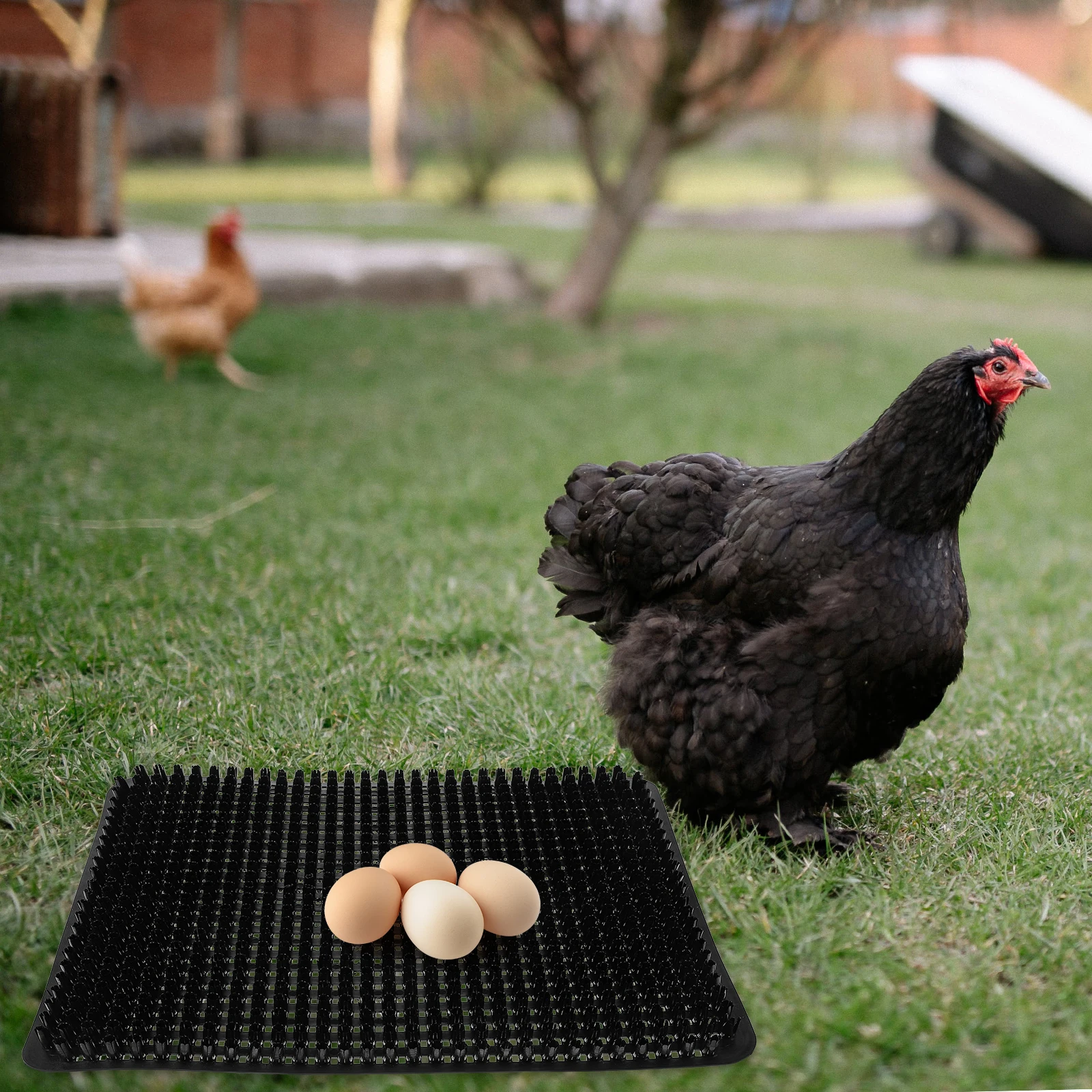 

Egg Pad Chicken Laying Mat Waterproof Washable PP Material Nesting Storage Cushion Pet House Easy Clean Long Lasting Safe Use