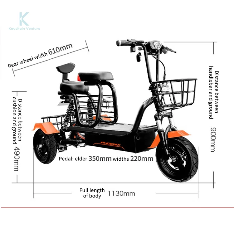 Triciclo eléctrico de la bici del triciclo eléctrico de la familia de la batería de litio de la bici 48V del neumático gordo