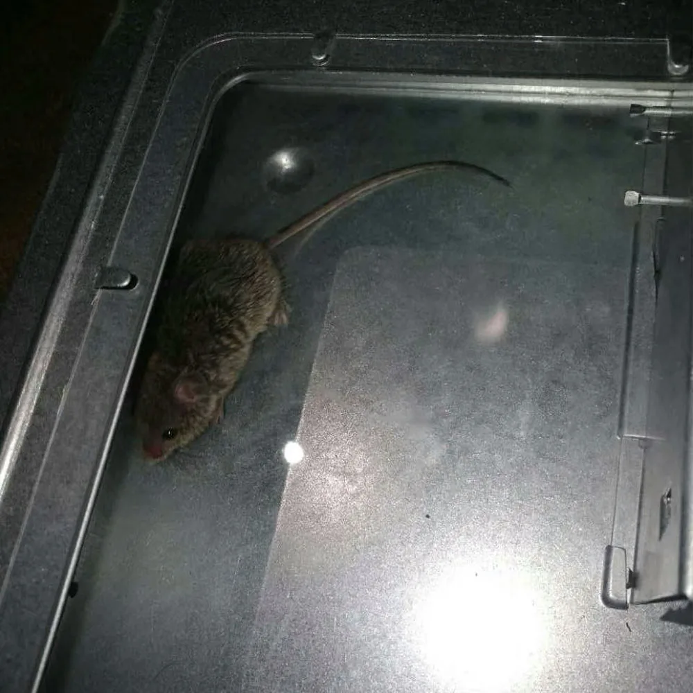 Mouse Catcher Self Catching Mice Killer Reusable Rat mice mouse Trap Cage for Continuous Catching Pest Control for Home Living